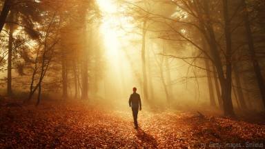 Somos realmente livres?