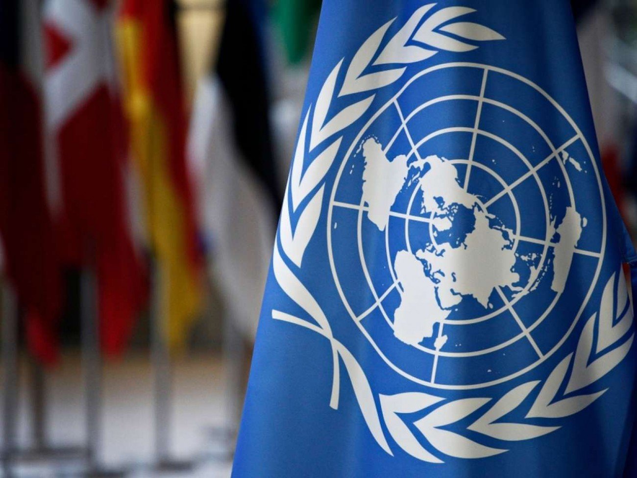 LUTA INCANSÁVEL NA ONU
