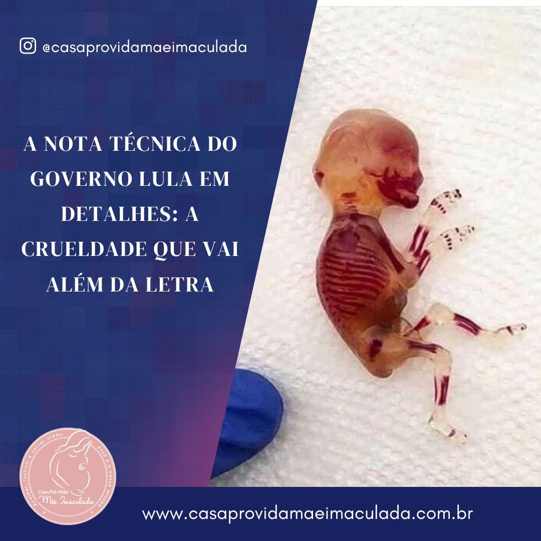 A NOTA TÉCNICA DO GOVERNO LULA EM DETALHES: A CRUELDADE QUE VAI ALÉM DA LETRA