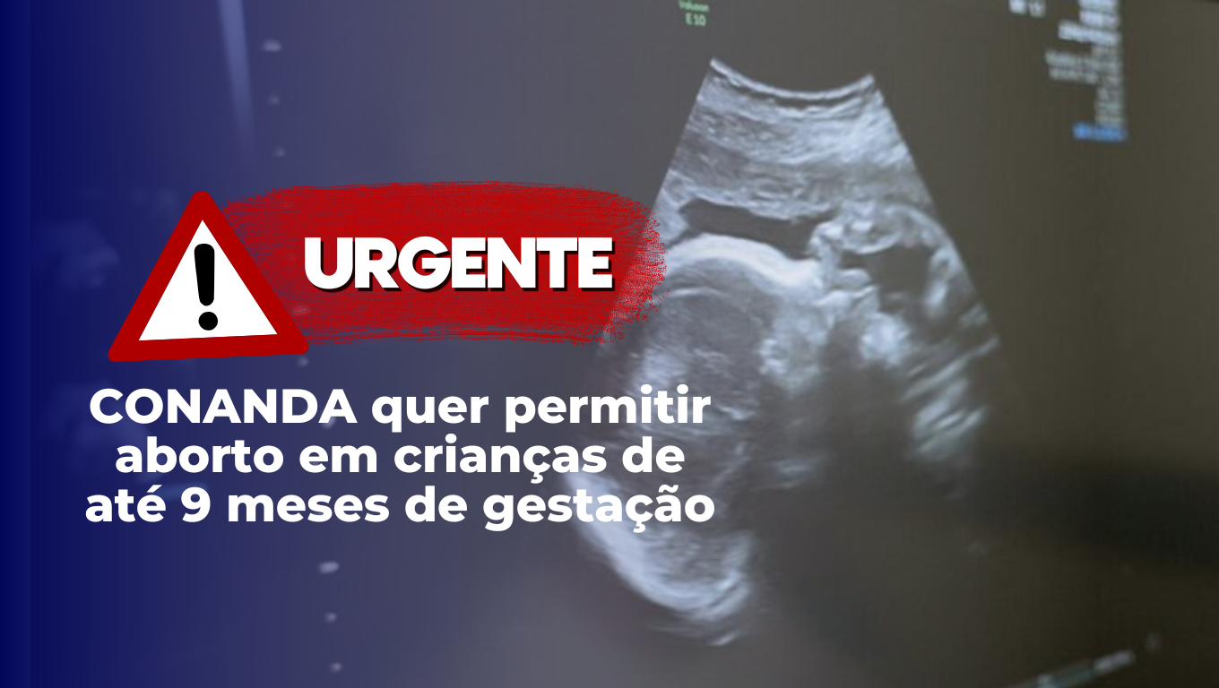 O CONANDA estuda permitir aborto em crianças de até 9 meses de gestação